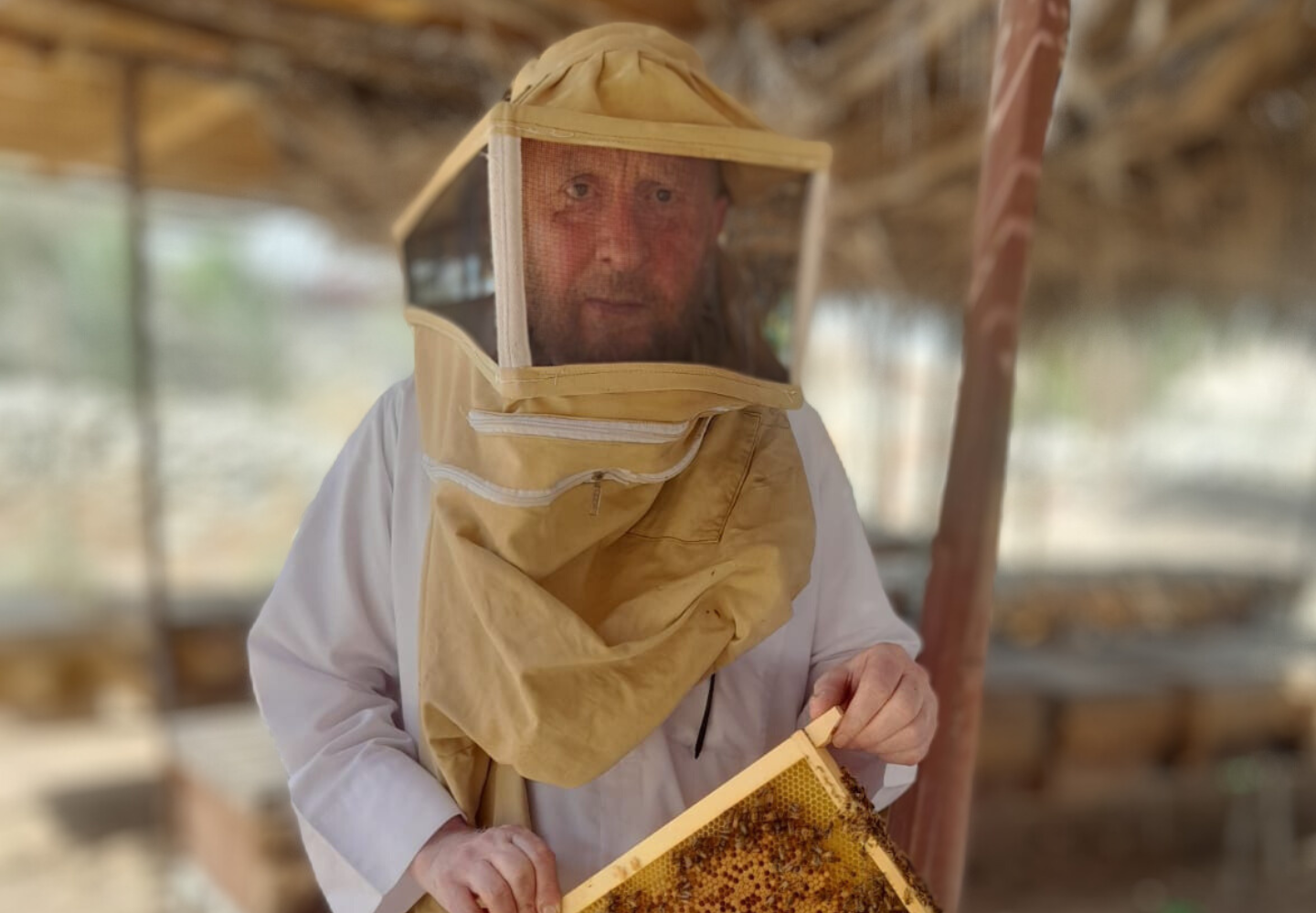 تصميم بدون عنوان (66)